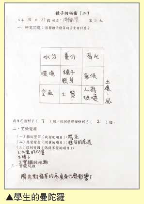 國一國中自然的各種變因 W 筆記 Clearnote